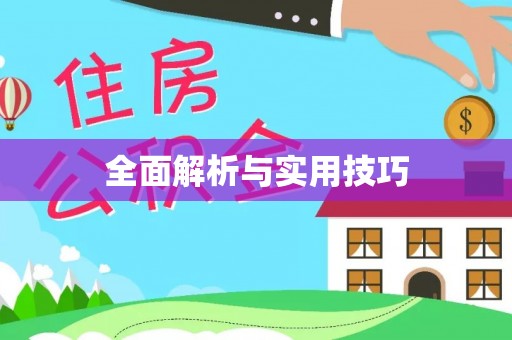 西充全面解析与实用技巧