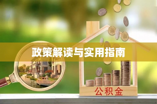 西充政策解读与实用指南