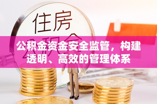 西充公积金资金安全监管，构建透明、高效的管理体系