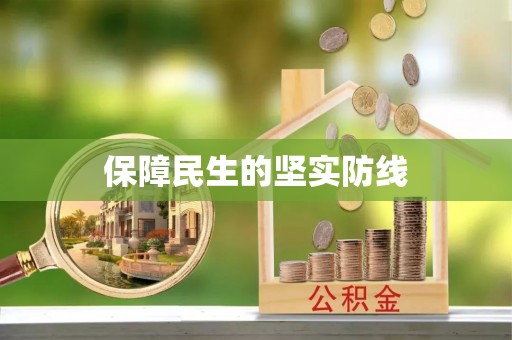 西充保障民生的坚实防线