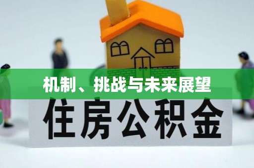 西充机制、挑战与未来展望