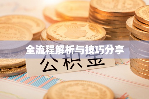 西充全流程解析与技巧分享
