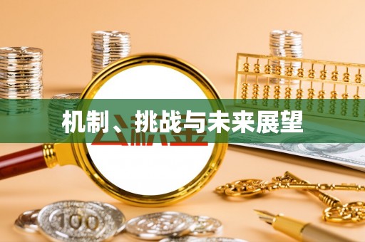 西充机制、挑战与未来展望