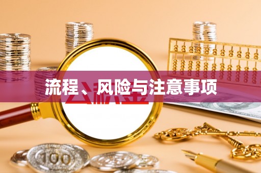 西充流程、风险与注意事项