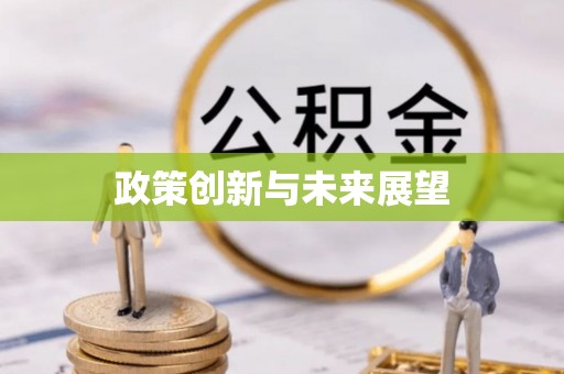 西充政策创新与未来展望
